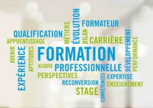 Formation Professionnelle - Nuage de mots